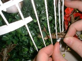 fixer la tige fleurie sur le pourtour de la cage à l'aide de morceaux de fil de fer et déployer  harmonieusement feuilles et fleurs