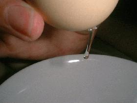 ensuite souffler dans le trou pour faire sortir l'œuf de la coquille
