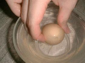 une fois l'œuf sorti intégralement, le rincer en le mettant dans l'eau puis soufflant pour faire ressortir l'eau. <br /> laisser sécher et décorer......